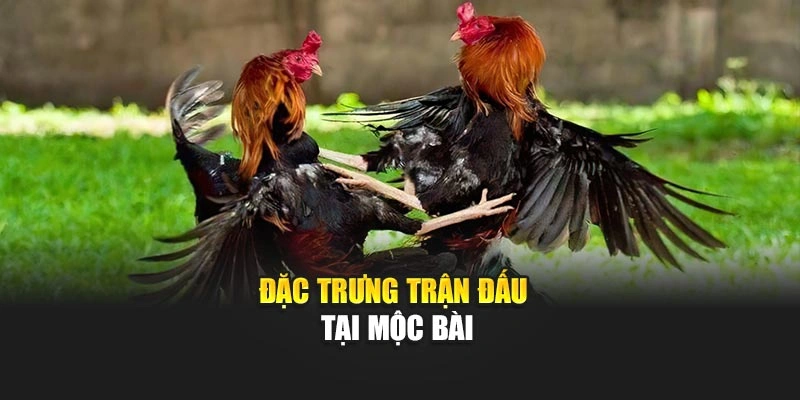 Đặc trưng trận đấu tại Mộc Bài