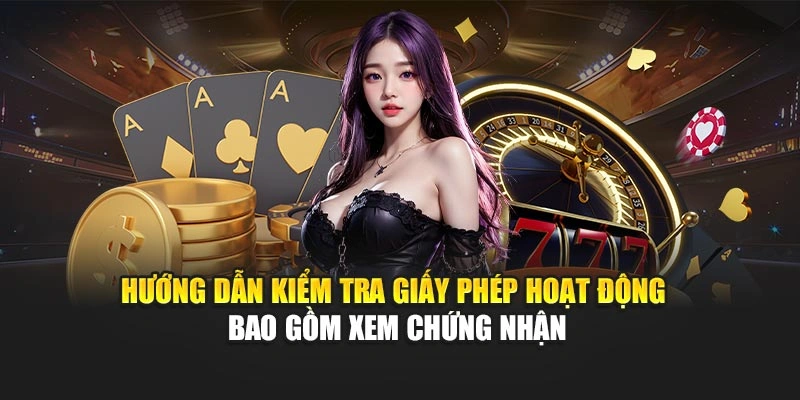Hướng dẫn kiểm tra giấy phép hoạt động bao gồm xem chứng nhận